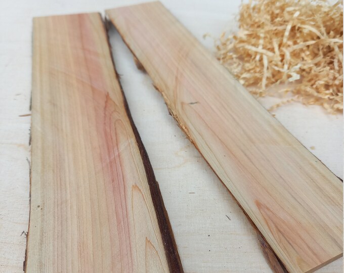 Juniper Wood Mini Plank DIY Craft Supplies Juniperus Etsy