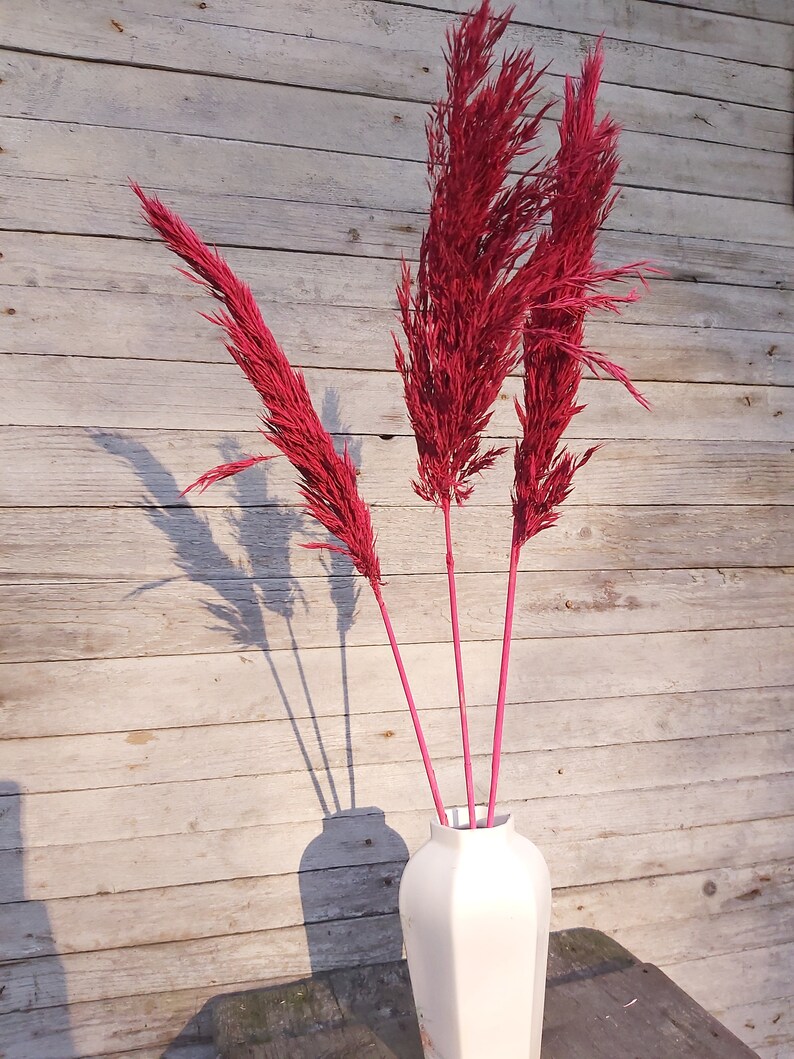 Reed Grass Colored To Pink Vase Decor Pampas Grass UK Large Etsy