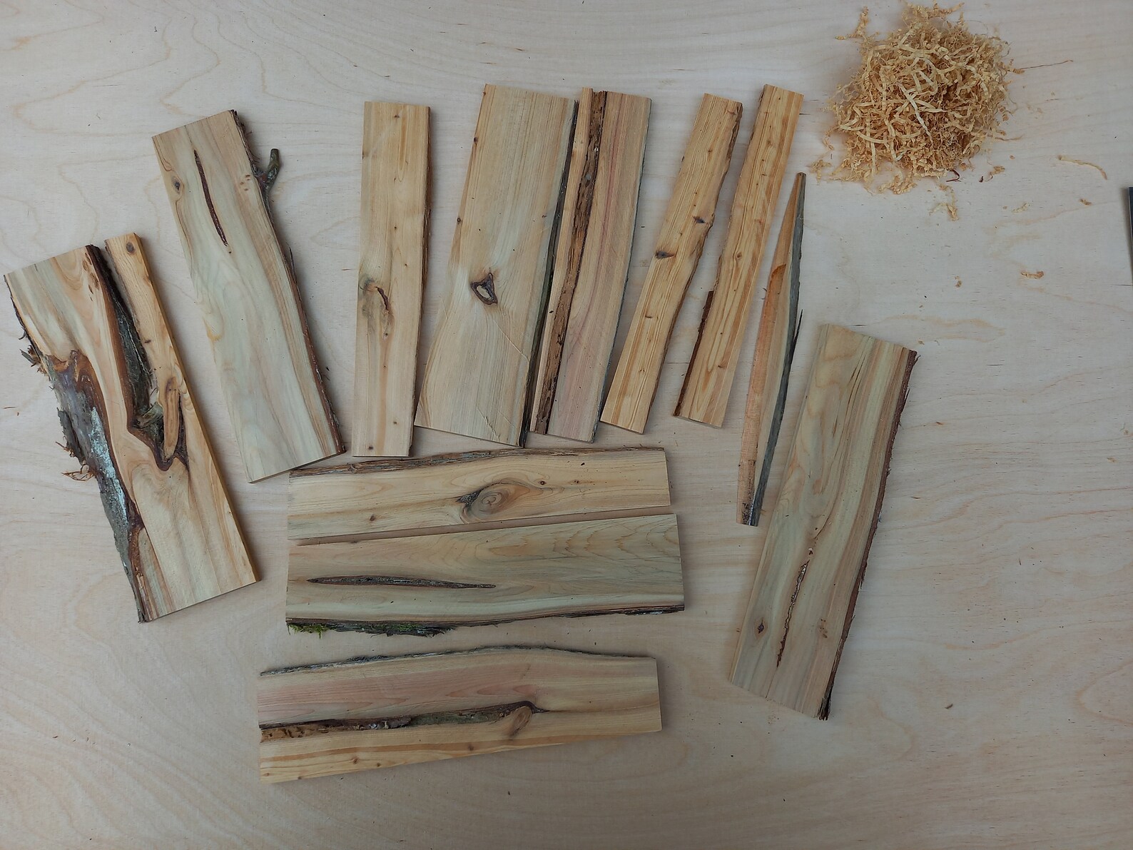 Juniper Wood Plank Decorative Craft Supplies Juniperus Etsy