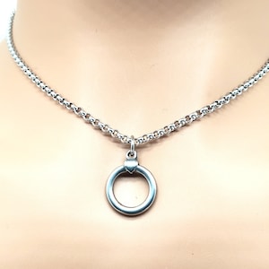 Captive O Ring Discreet Locking Day Collar