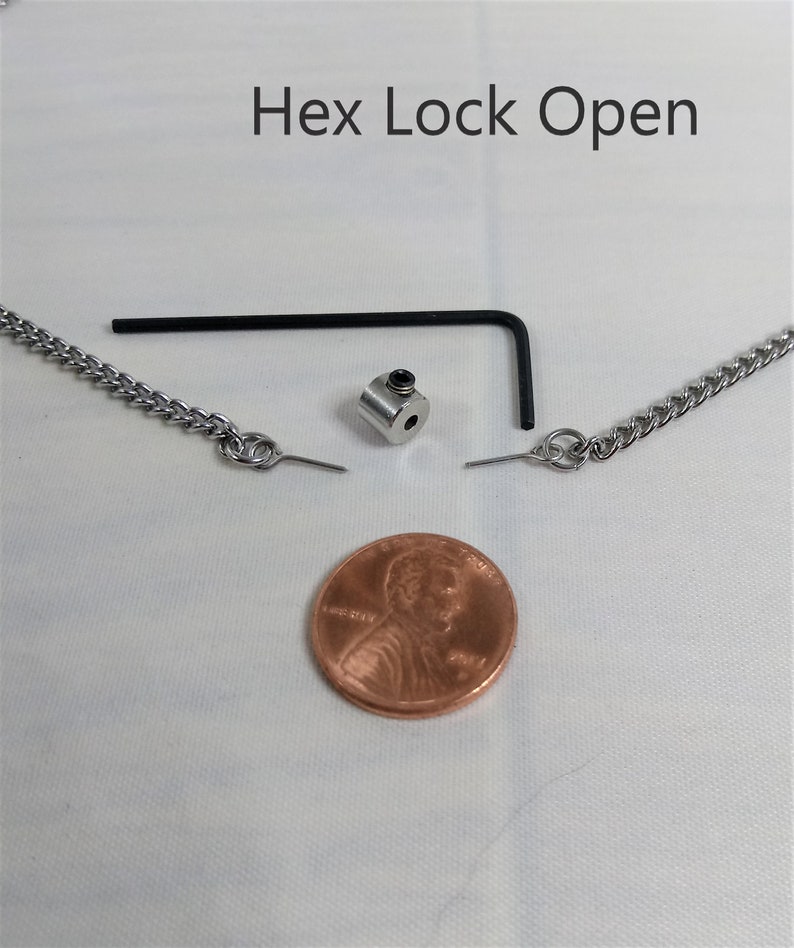 Discreet 24/7 Locking O Ring Day Collar Etsy