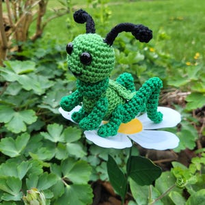 May include: A green crocheted grasshopper with black antennae and large black eyes sits on a white daisy with a yellow centre. The grasshopper is sitting on a flower in a garden.