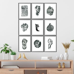 Set of NINE different tree ring prints to download, Woodcut prints, wall art decor, printable download, digital download