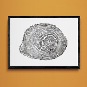 Tree ring print from a Plane tree Downloadable Printable
