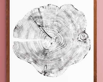 May include: A black and white print of a tree ring cross section. The rings are concentric circles with a small knot in the centre.