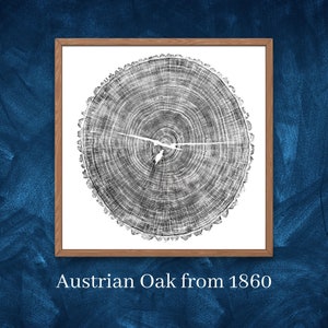 Könnte beinhalten: Ein gerahmter Schwarzweißdruck eines Baumring-Querschnitts. Der Druck zeigt die Jahresringe einer österreichischen Eiche aus dem Jahr 1860. Der Text "Österreichische Eiche aus 1860" ist unter dem Bild gedruckt.