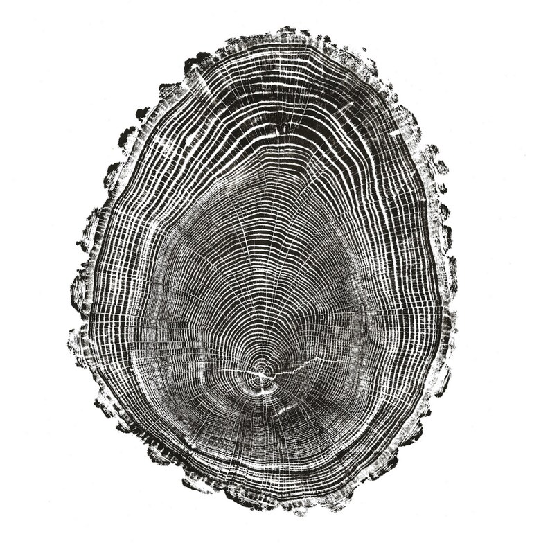 Oak Tree ring print Downloadable Wall decor image 4