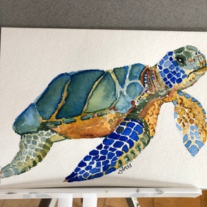 Carte Tortue