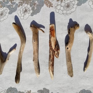 Driftwood Odd Branches Lot bundle of 6 different lengths 5.8-9.2&quot; Aquarium Tank decor Wall decor Home beach decor Art supplies Sea wood