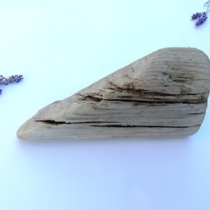 Large Driftwood Decorative Beach Decor 23cm/9&quot; Art Supplies Aquarium Terrarium Tank decor Plant holder Table decor Nature gift Home decor