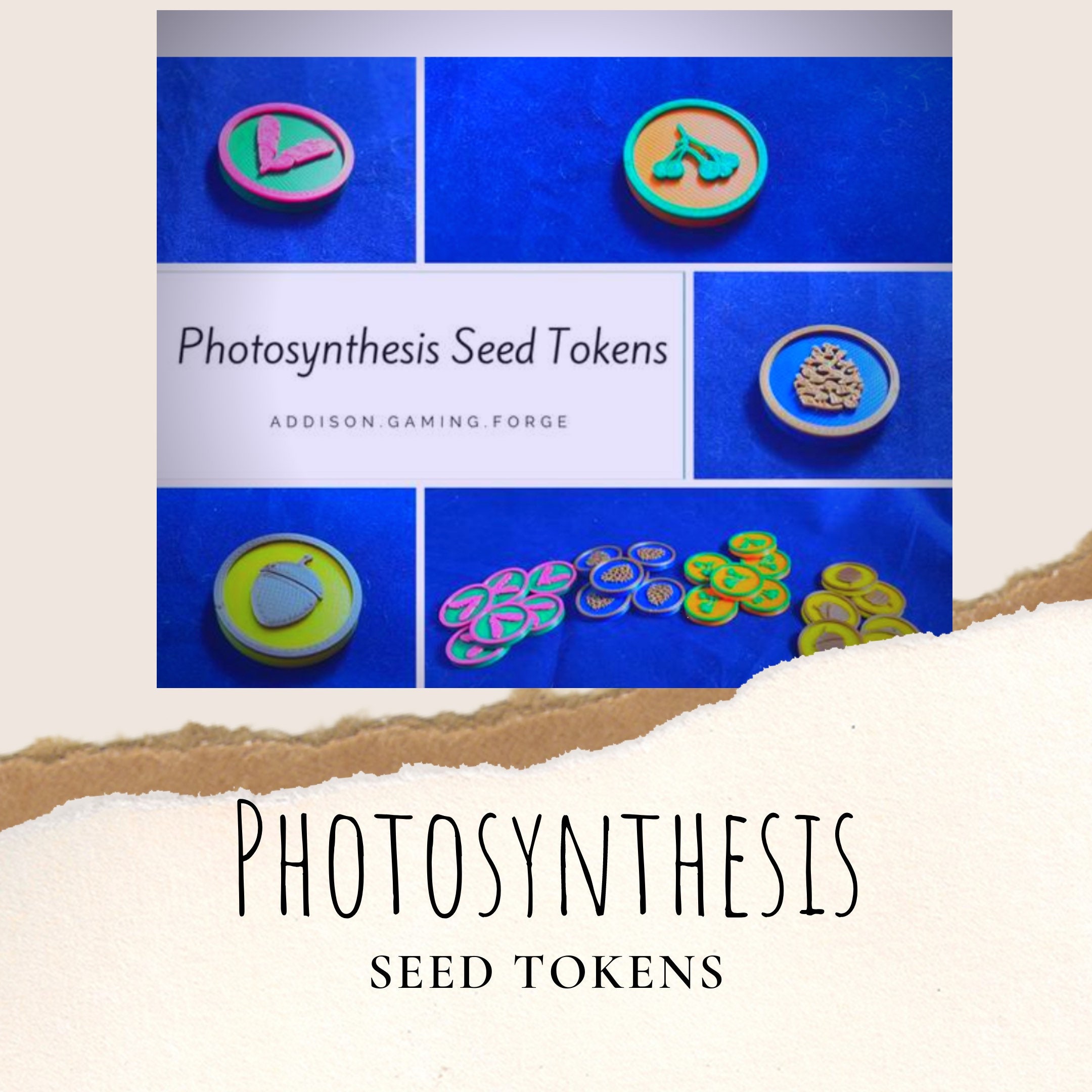 Photosynthesis Board Game 3d Seed Tokens Photosynthesis Etsy