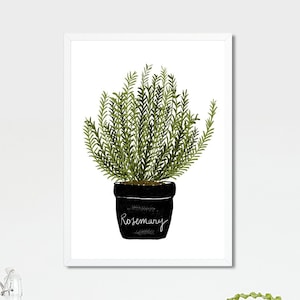 Rosemary print , Garden herbs art print, Farmahouse printable wall art, Printable botanical illustration prints, Culinary poster, Kitchen
