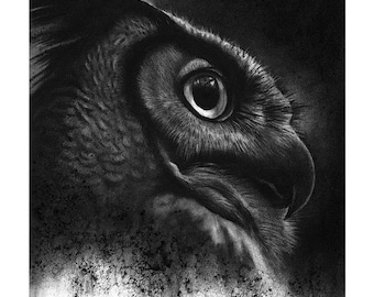 The Hunter, Great Horned Owl Fine Art Print - 13"x16", Wall Art, Charcoal Drawing, Wildlife Fine Art