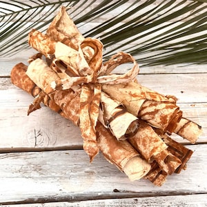 May include: A bundle of rolled up, brown and white patterned paper tied together with a brown ribbon. The paper has a natural, rustic look.