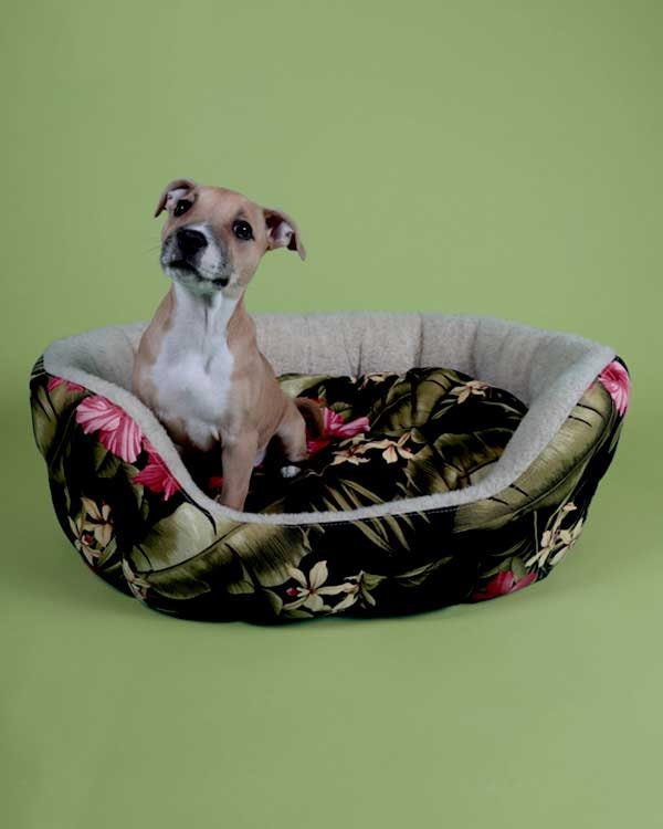 Why Does My Dog Flip His Bed Over