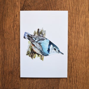 Himmelssänger Waldsänger A6 Kunstdruck | Postkarte | Grußkarte