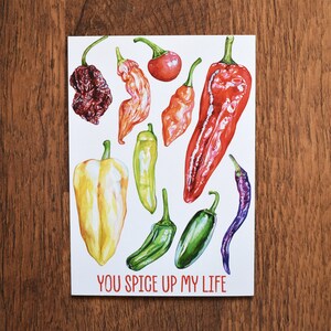 Chili Peppers Valentinstag A6 Kunstdruck | Postkarte | Grußkarte