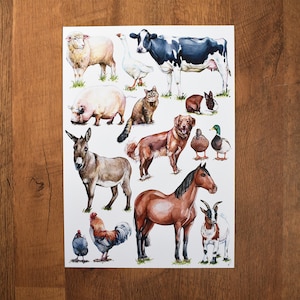 Impresión artística A3 de animales de granja, Arte de pared de animales