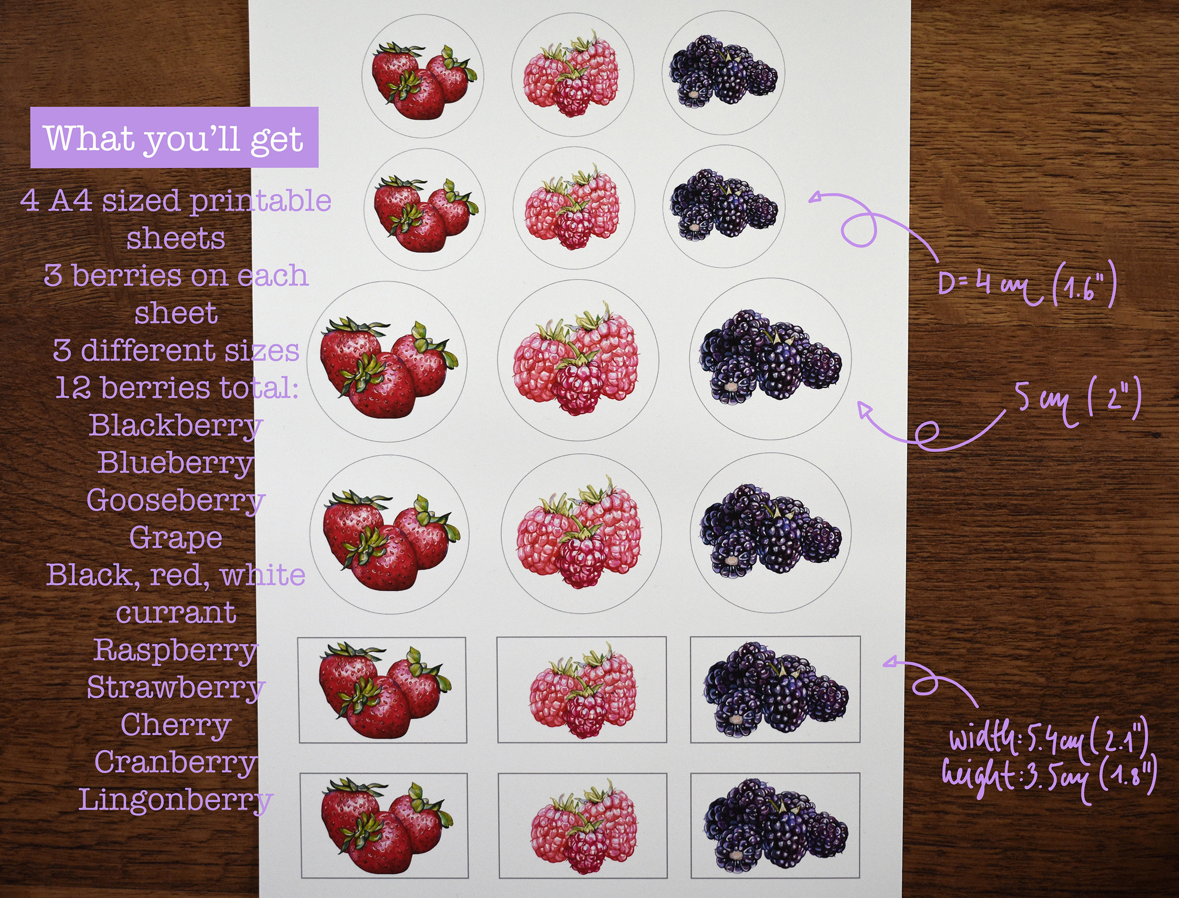 Printable Berry Jam Labels | PDF Digital Download - Etsy Canada