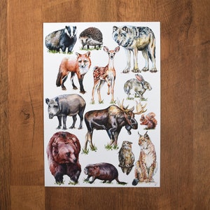 Impresión artística A3 de animales europeos, Arte de pared de animales