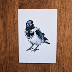 Stampa artistica / cartolina / biglietto di auguri Crow A6