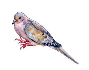 Mourning Dove Original Watercolor Painting | 10x10 cm