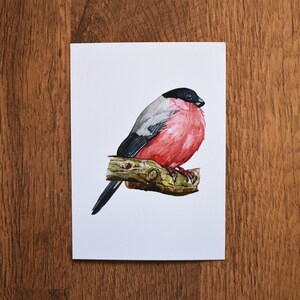 Gimpel A6 Kunstdruck | Postkarte | Grußkarte