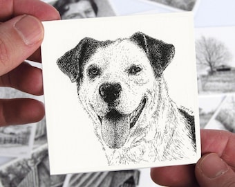 Pet Dog Portrait Drawing - Miniature Pen & Ink Dog Pet Portrait Drawings