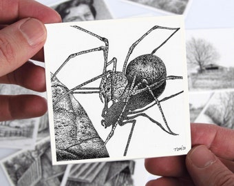 Cobweb Spider #1 - Custom Miniature Pen & Ink Drawing