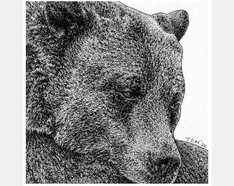 Art Print - Sleepy Grizzly Bear - Matted Art Print