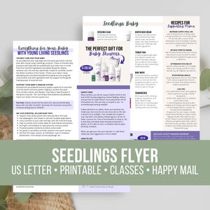 Könnte beinhalten: Ein weißer Informationsflyer mit dem Titel Seedlings Baby mit violetten Akzenten, der Text über ätherische Öle, Babypflege und Rezepte für Mütter enthält. Das Dokument zeigt Produktbilder, ein Preisschild von 139,50 $ und ein grünes Banner.