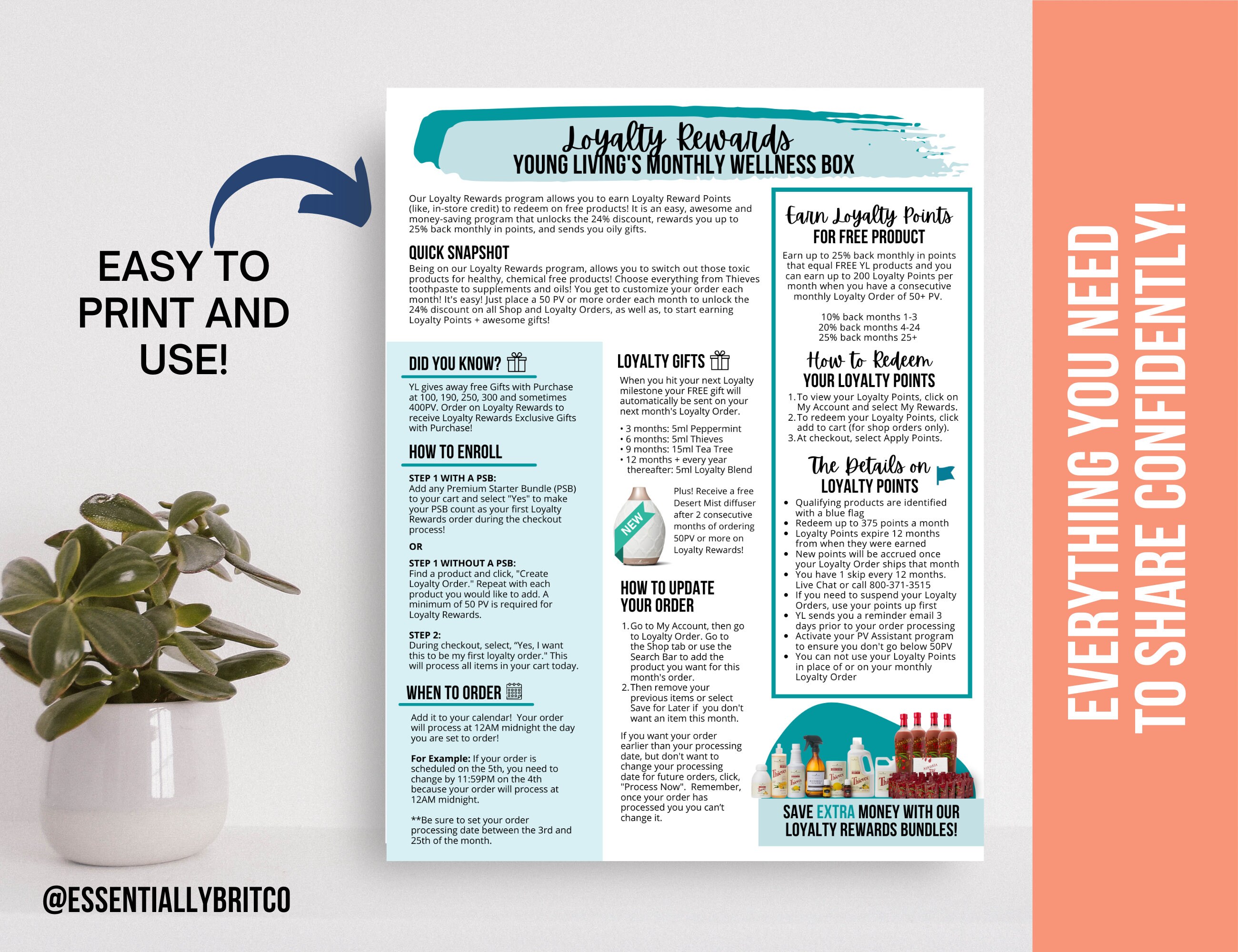 NEW 2023 Ultimate Young Living Flyer Bundle for Classes - Etsy