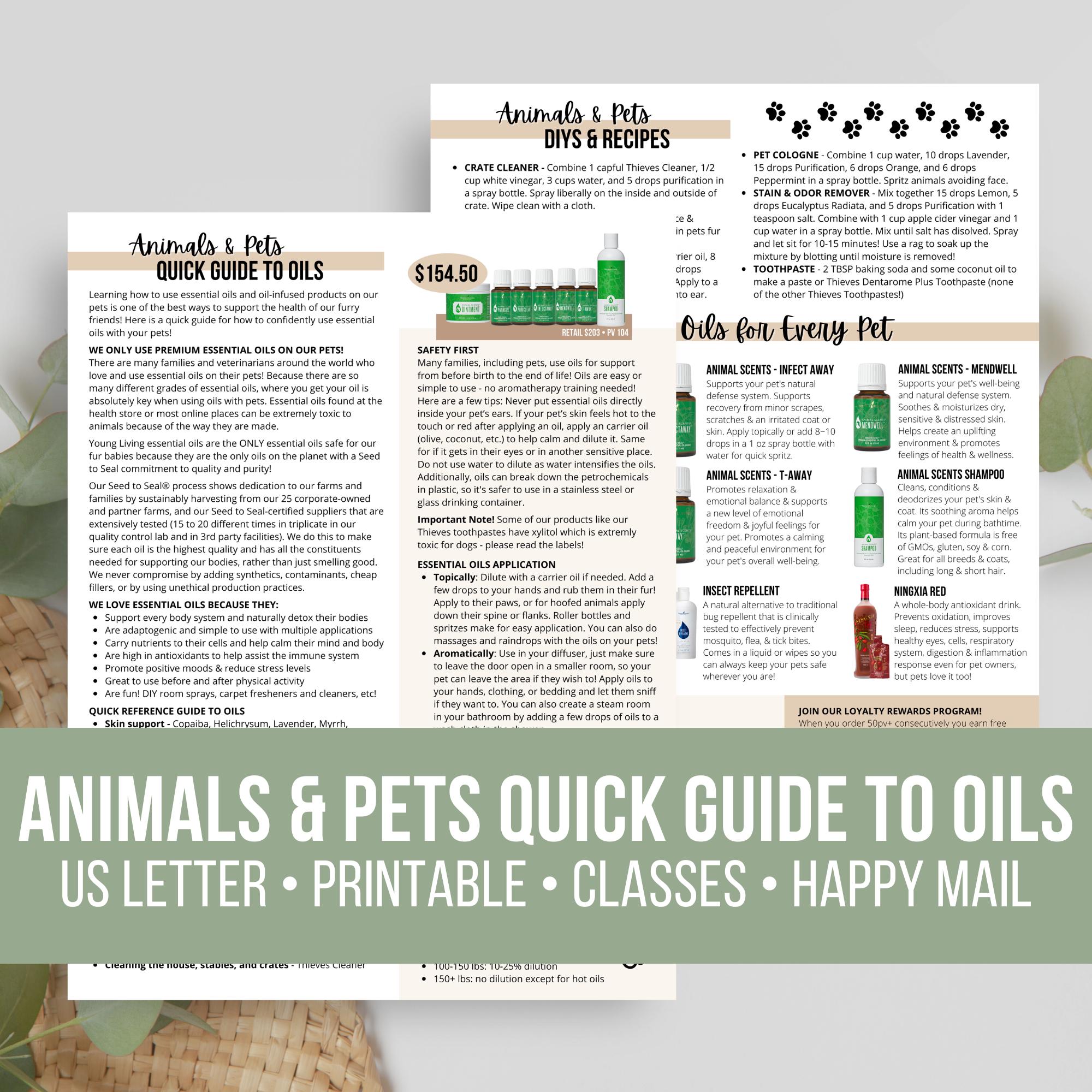 Animals and Pets Quick Guide to Essential Oils Flyer | Animal Scents ...