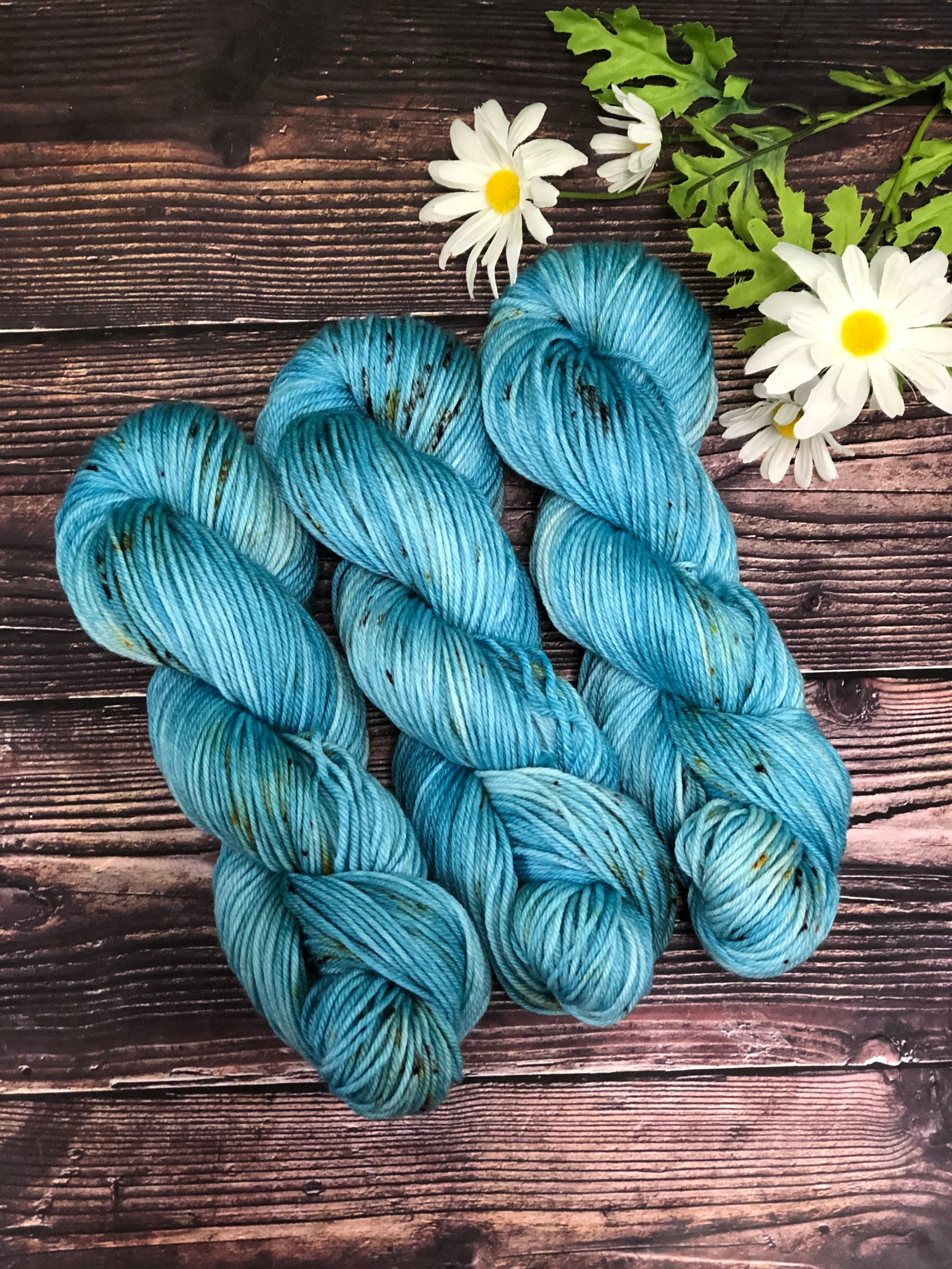 Hand dyed Yarn Robin’s Egg Yarn