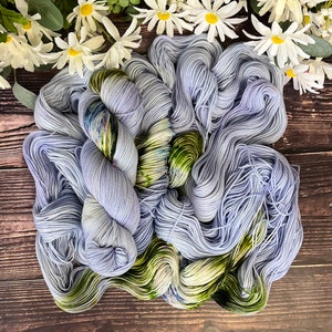 Heart of a DreamerHand-dyed yarn image 2