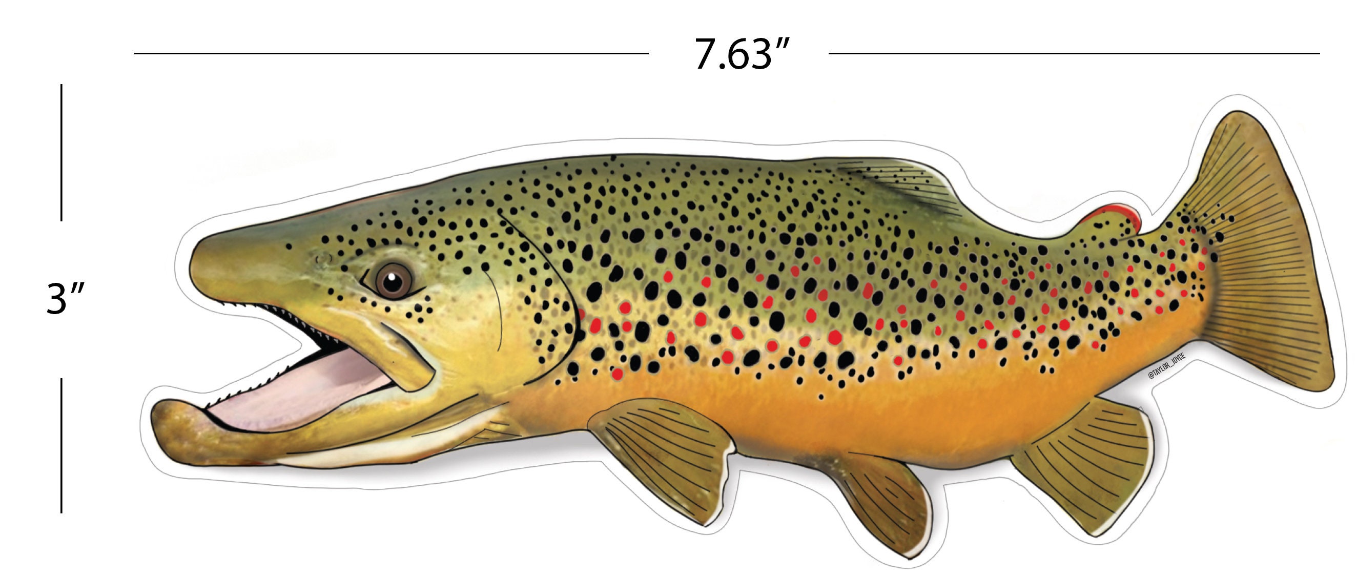 Brown Trout Sticker large Etsy