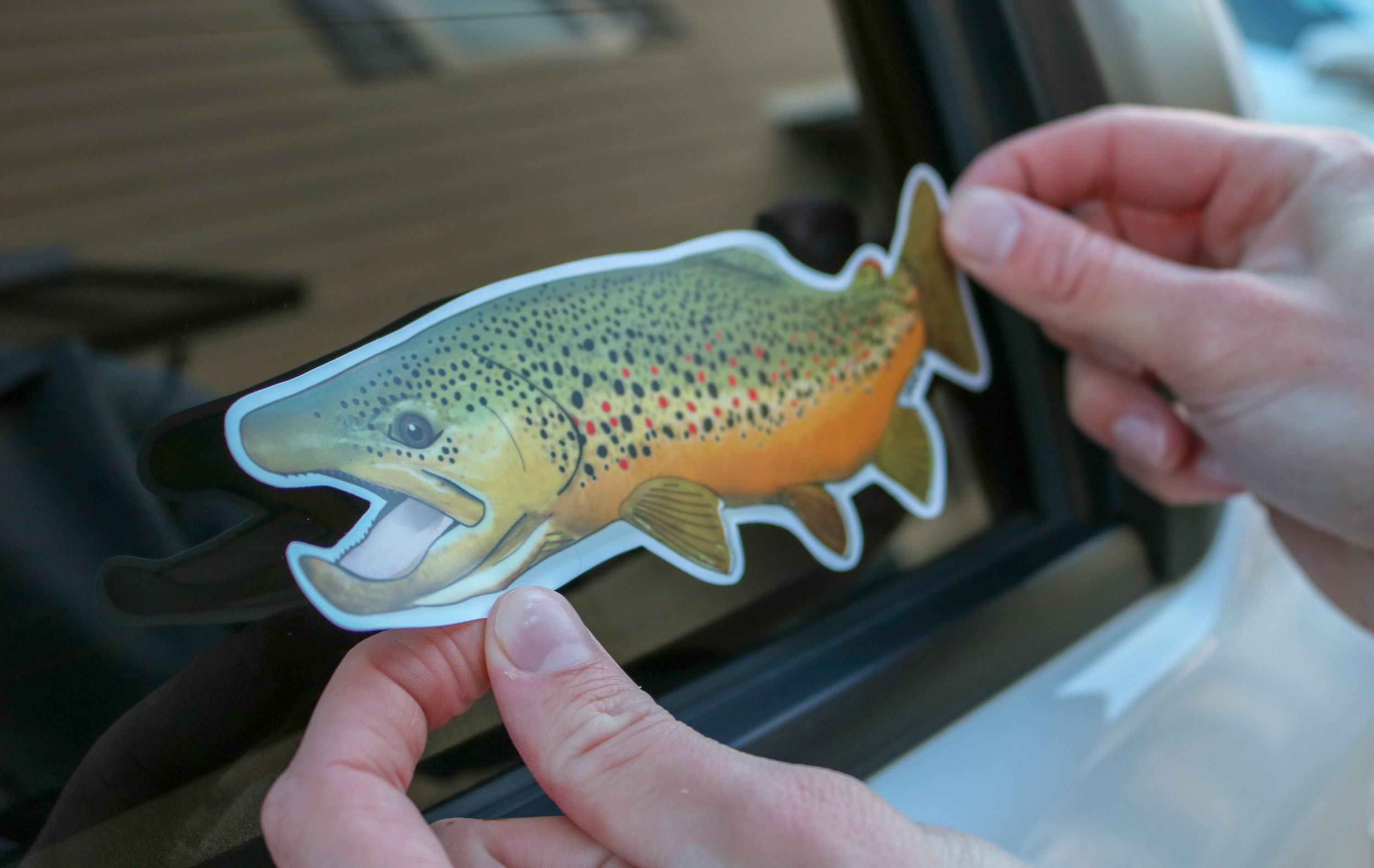 Brown Trout Sticker Large Etsy