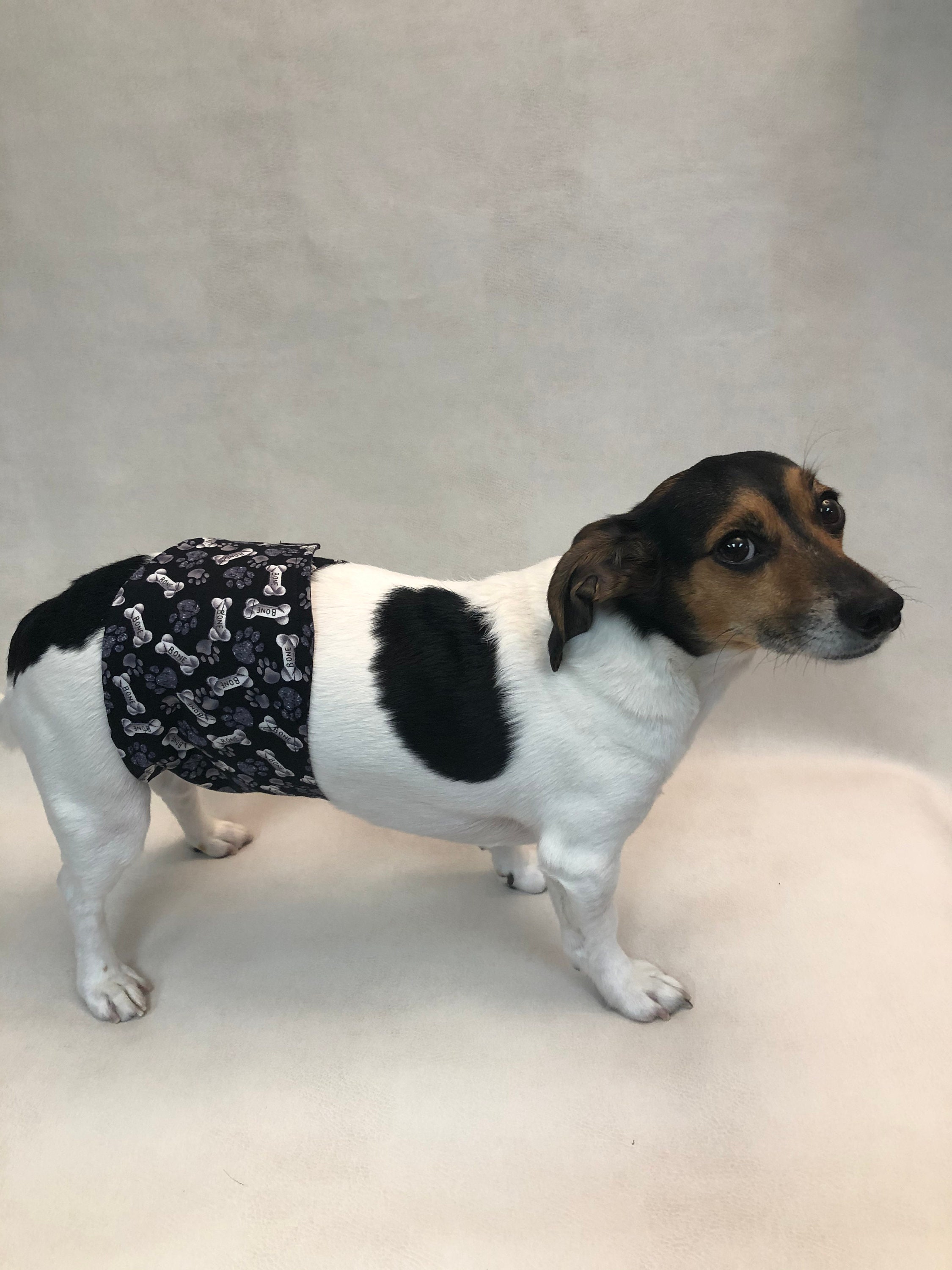 Dog Belly Band Belly Band for Small Dog Belly Band male dog Etsy