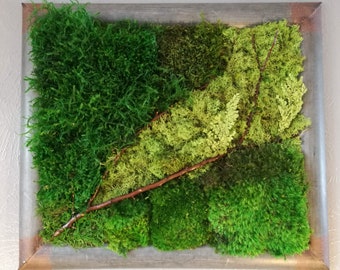 Preserved Moss Wall Art With Ferns and Tree Branch