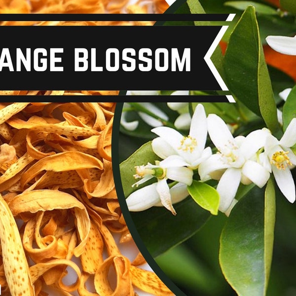 Orange blossom - food grade & magickal use  - Citrus sinensis - oranje bloesem