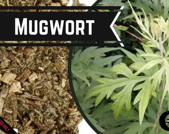 Mugwort / Bijvoet -  Food Grade - Artemisia vulgaris