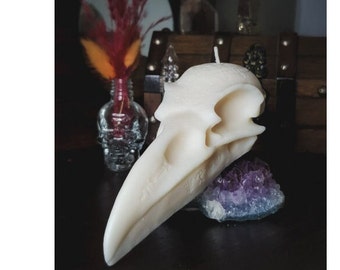 Raven Skull candle - unscented - White , Gothic decor, Heketa,