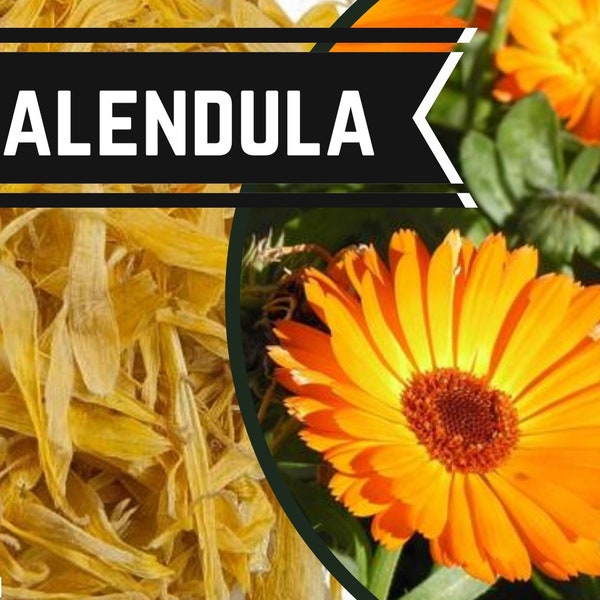 Calendula - Food grade  -  Calendula officinalis - Goud bloesem