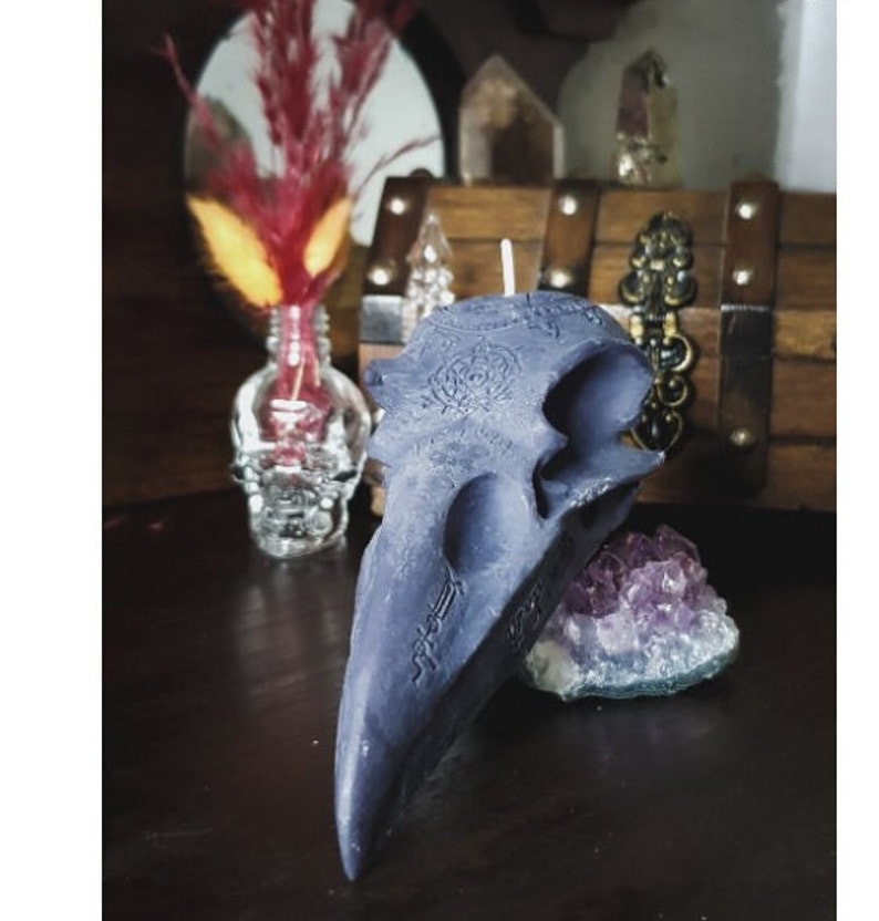 Raven Skull candle unscented Black , Gothic decor, Heketa, image 1