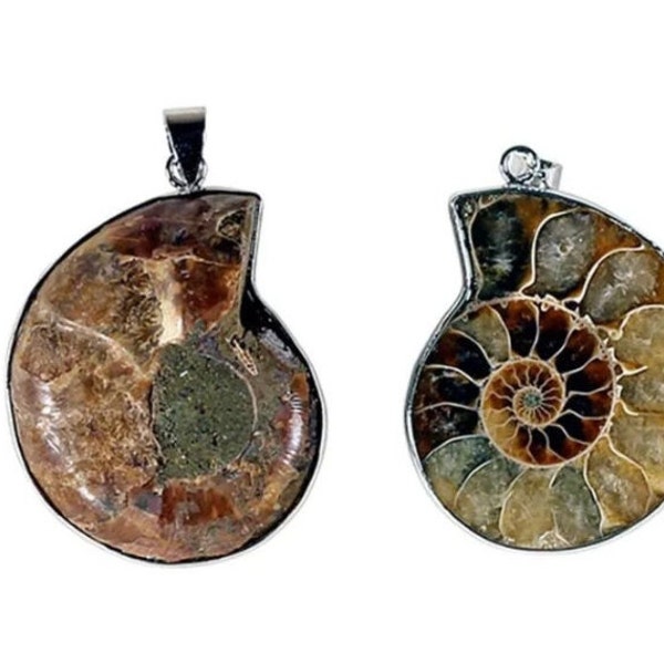 Pendentif ammonite - Cintre Ammoniet - heketa