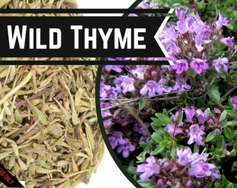 wild thyme - food grade - Thymus serpyllum - wilde tijm