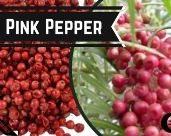 Pink pepper /  Roze peper brazilie -  Food Grade -