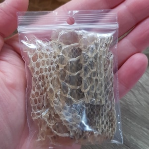 Snake shed magic ingredients in a ziplock bag snake skin image 2