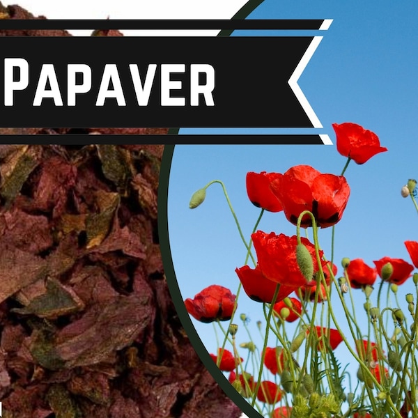 Papaver, Poppy leaves, Klaproos blad, Papaver somniferum,  Food grade , dry herb, herbiary, witchcraft tools, Heketa