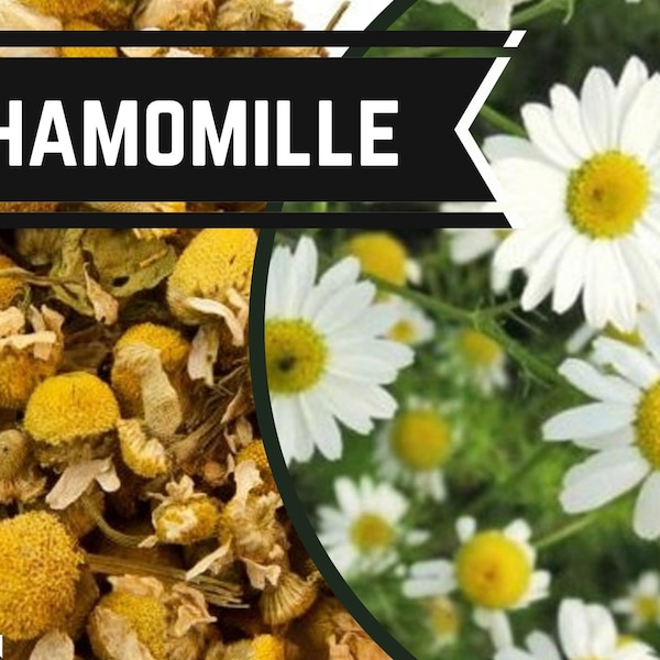 Chamomille herb -  food grade & magickal use - Matricaria chamomilla - Kamille